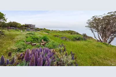 20 Oak Road, Bolinas, CA 94924 - Photo 6