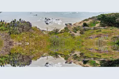 20 Oak Road, Bolinas, CA 94924 - Photo 1