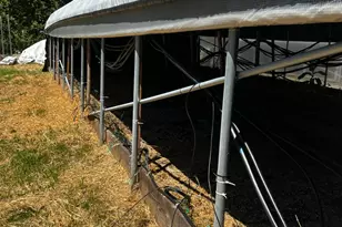 79005 Hwy 271, Piercy, CA 95587 - Photo 18