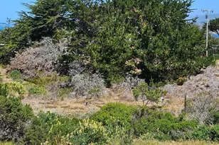 320 Driftwood Ave, Bodega Bay, CA 94923 - Photo 42