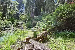 21713 Starrett Hill Dr, Monte Rio, CA 95462 - Photo 44