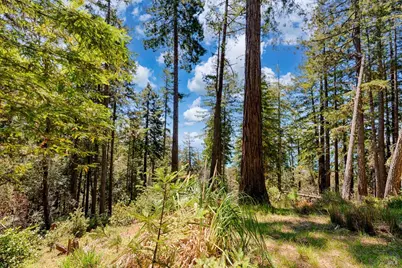 22196 Umland Circle, Jenner, CA 95450 - Photo 12