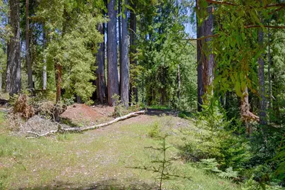 22196 Umland Circle, Jenner, CA 95450 - Photo 14