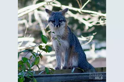 9211 Lakewood Drive, Windsor, CA 95492 - Photo 44