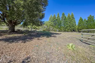 9115 Wildcat Rd, Kelseyville, CA 95451 - Photo 22