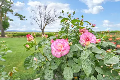 11670 Byron Highway, Brentwood, CA 94513 - Photo 78