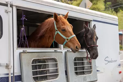 10 Park Avenue, Bolinas, CA 94924 - Photo 40