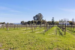 1680 Los Carneros Ave, Napa, CA 94559 - Photo 26