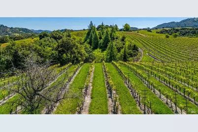 4560 Sonoma Mountain Road, Santa Rosa, CA 95404 - Photo 24