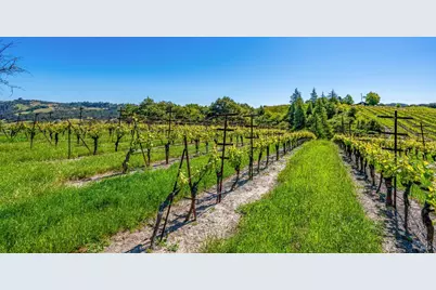 4560 Sonoma Mountain Road, Santa Rosa, CA 95404 - Photo 34