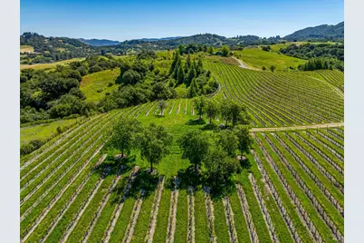 4560 Sonoma Mountain Road, Santa Rosa, CA 95404 - Photo 8