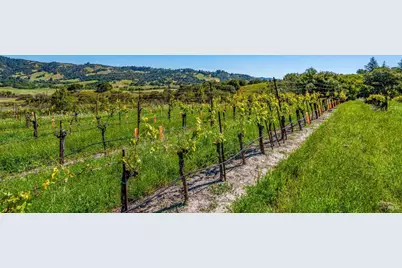 4560 Sonoma Mountain Road, Santa Rosa, CA 95404 - Photo 32