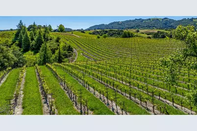 4560 Sonoma Mountain Road, Santa Rosa, CA 95404 - Photo 38