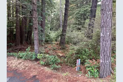 369 Big Tree Close Road, The Sea Ranch, CA 95497 - Photo 4