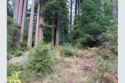 369 Big Tree Close Road, The Sea Ranch, CA 95497 - Photo 6