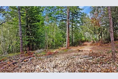 21155 Siri Road, Guerneville, CA 95446 - Photo 20