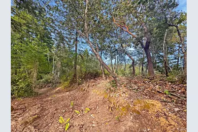 21155 Siri Road, Guerneville, CA 95446 - Photo 18