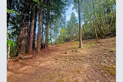 21155 Siri Road, Guerneville, CA 95446 - Photo 10