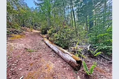 21155 Siri Road, Guerneville, CA 95446 - Photo 12