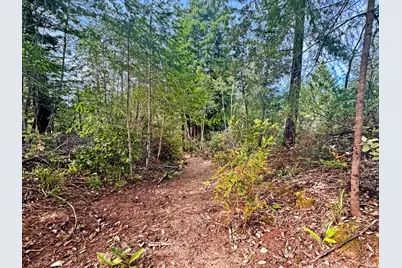 21155 Siri Road, Guerneville, CA 95446 - Photo 16