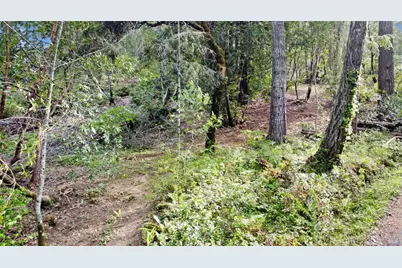 21155 Siri Road, Guerneville, CA 95446 - Photo 30
