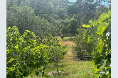 2371 McNab Ranch Road, Ukiah, CA 95482 - Photo 12