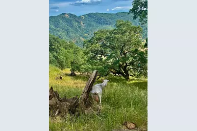 2371 McNab Ranch Road, Ukiah, CA 95482 - Photo 22