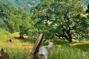 2371 McNab Ranch Rd, Ukiah, CA 95482 - Photo 22