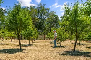 2371 McNab Ranch Rd, Ukiah, CA 95482 - Photo 92