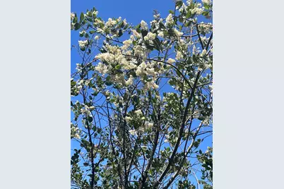 25210 Mountain View Road, Boonville, CA 95415 - Photo 22