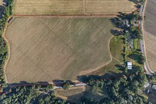 21800 River Rd, Geyserville, CA 95441 - Photo 2