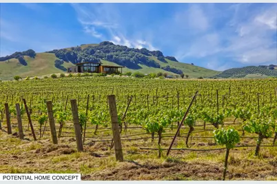 2590 Chileno Valley Road, Petaluma, CA 94952 - Photo 6