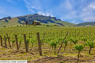 2590 Chileno Valley Rd, Petaluma, CA 94952 - Photo 6