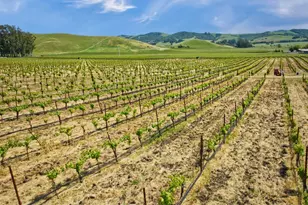 2590 Chileno Valley Rd, Petaluma, CA 94952 - Photo 50