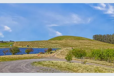 2590 Chileno Valley Road, Petaluma, CA 94952 - Photo 32