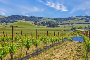 2590 Chileno Valley Rd, Petaluma, CA 94952 - Photo 4