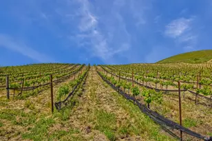 2590 Chileno Valley Rd, Petaluma, CA 94952 - Photo 36