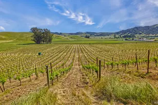 2590 Chileno Valley Rd, Petaluma, CA 94952 - Photo 42