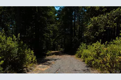 44591 Zettler Road, Point Arena, CA 95468 - Photo 18