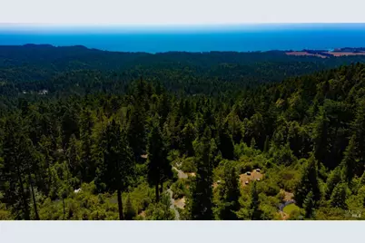 44591 Zettler Road, Point Arena, CA 95468 - Photo 26