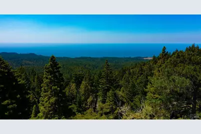 44591 Zettler Road, Point Arena, CA 95468 - Photo 4