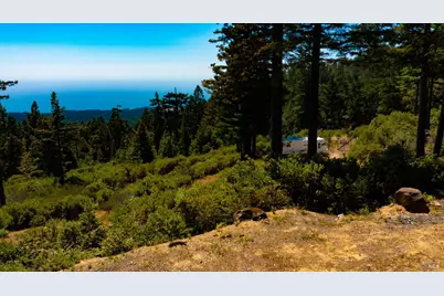 44591 Zettler Road, Point Arena, CA 95468 - Photo 22