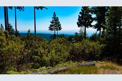 44591 Zettler Road, Point Arena, CA 95468 - Photo 28