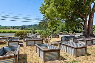 995 Dry Creek Rd, Healdsburg, CA 95448 - Photo 18