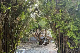 101 Drake Mews, Sonoma, CA 95476 - Photo 24