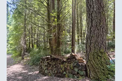 11903 Branscomb Road, Branscomb, CA 95417 - Photo 70