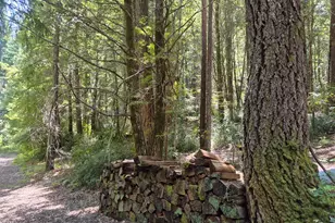 11903 Branscomb Rd, Branscomb, CA 95417 - Photo 70