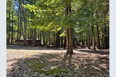 11903 Branscomb Road, Branscomb, CA 95417 - Photo 26