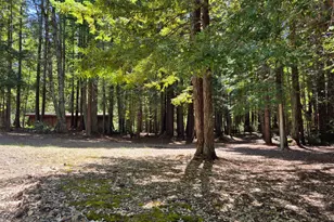 11903 Branscomb Rd, Branscomb, CA 95417 - Photo 26