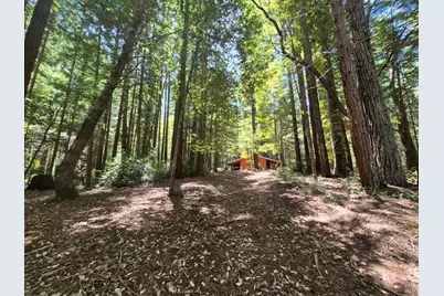 11903 Branscomb Road, Branscomb, CA 95417 - Photo 22